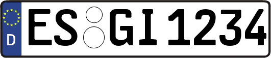 ES-GI1234