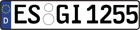 ES-GI1255