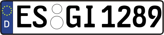 ES-GI1289