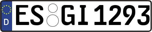 ES-GI1293