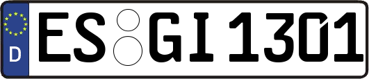 ES-GI1301