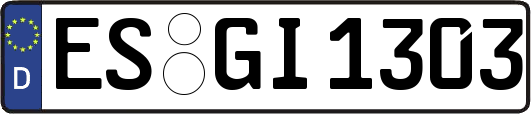 ES-GI1303