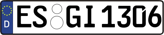 ES-GI1306
