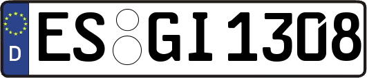ES-GI1308
