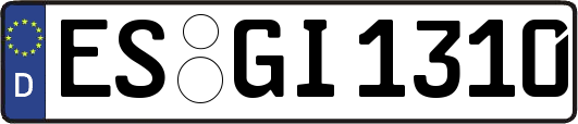 ES-GI1310