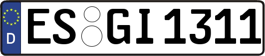 ES-GI1311