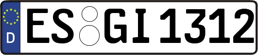 ES-GI1312