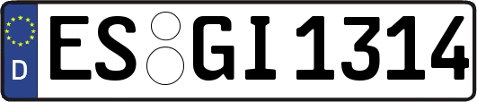 ES-GI1314