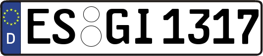 ES-GI1317