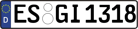 ES-GI1318