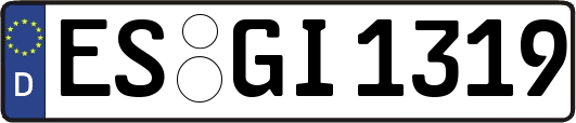 ES-GI1319