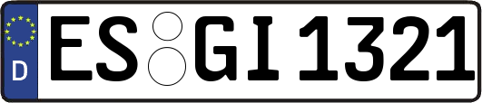 ES-GI1321