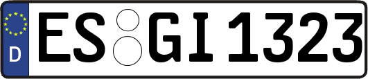 ES-GI1323