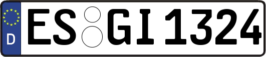 ES-GI1324