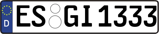 ES-GI1333