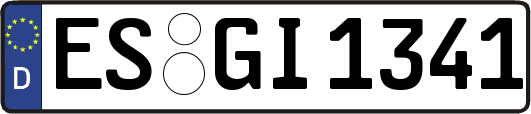 ES-GI1341