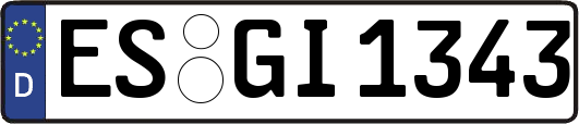 ES-GI1343