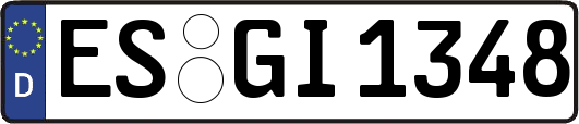 ES-GI1348