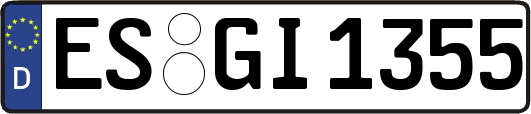 ES-GI1355
