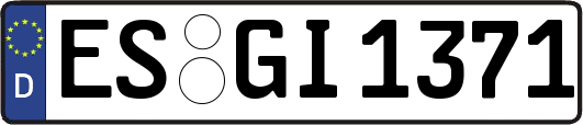 ES-GI1371