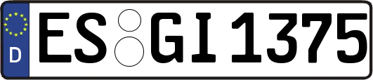 ES-GI1375