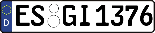 ES-GI1376