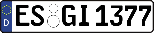 ES-GI1377