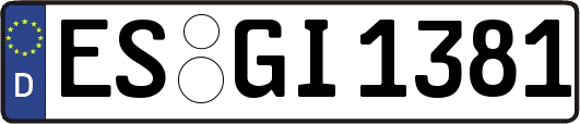 ES-GI1381