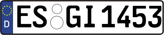 ES-GI1453