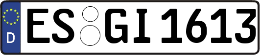 ES-GI1613