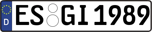 ES-GI1989