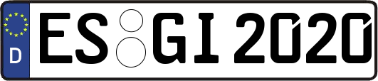 ES-GI2020