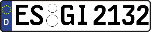 ES-GI2132