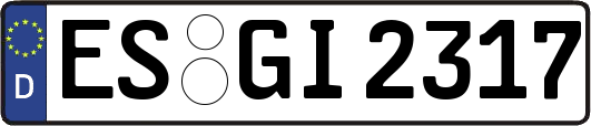 ES-GI2317