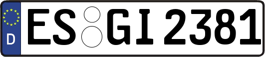 ES-GI2381