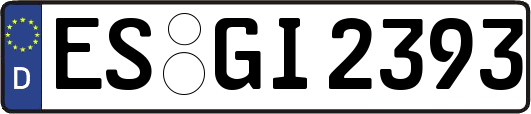 ES-GI2393