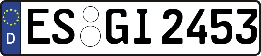 ES-GI2453