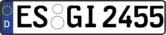 ES-GI2455