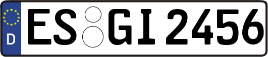 ES-GI2456