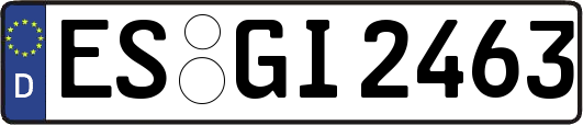 ES-GI2463