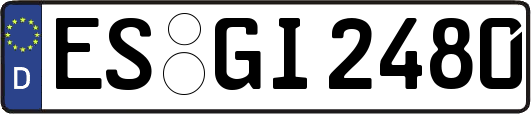 ES-GI2480
