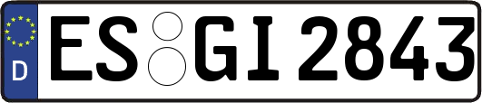 ES-GI2843