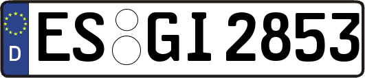 ES-GI2853