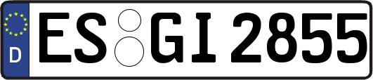 ES-GI2855