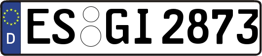 ES-GI2873
