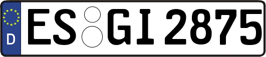 ES-GI2875