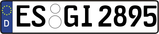 ES-GI2895