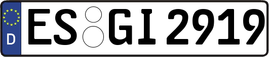 ES-GI2919