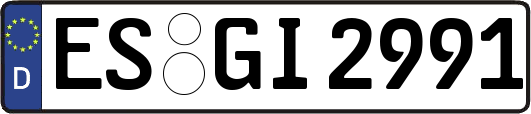 ES-GI2991