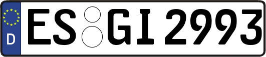 ES-GI2993